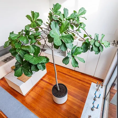Apartamento Luxurious Loft - River View