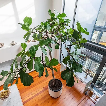 Luxurious Loft - River View * 리스본